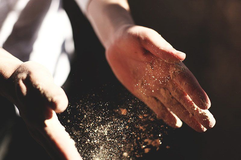 Agriculture Mains d'un homme touchant du fourrage