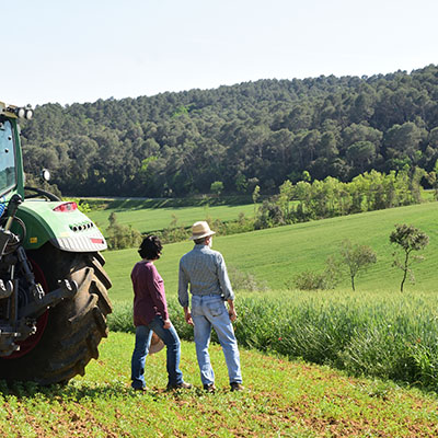 Mutations agricoles paysages