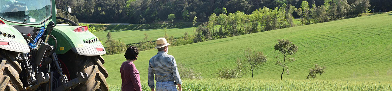 Chair Changes in Agriculture