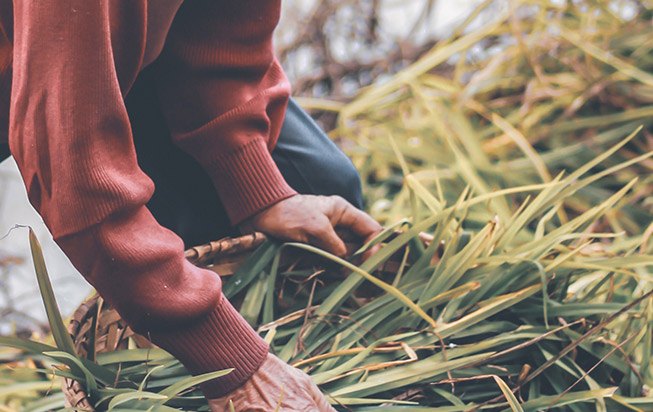 La mission du Fonds de Dotation est de soutenir l'agriculture durable