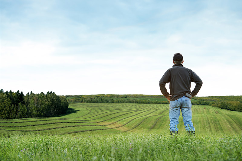 Un agriculteur breton dans son champ