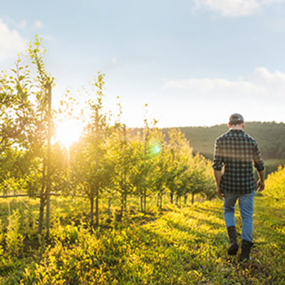 Un agriculteur dans son champ est partenaire d'un PSE