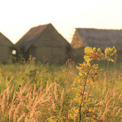 L'agriculture du Proche Orient à l'Europe