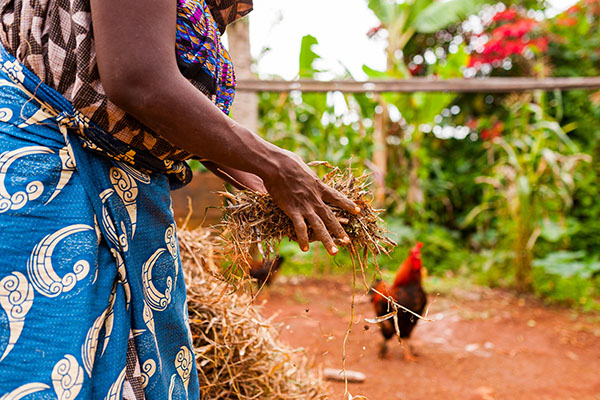 Le développement durable joue un rôle important pour l'agriculture de demain