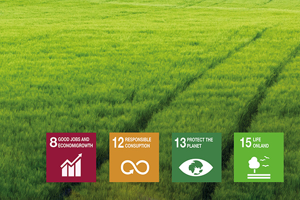 The four priority SDGs for sustainable agriculture