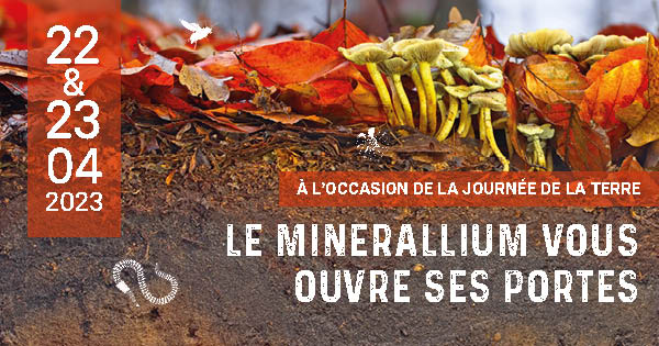 Visites guidées lors de la Journée de la Terre au Minerallium