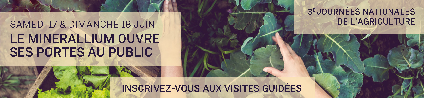 Venir visiter le Minerallium pour les Journées de l'Agriculture