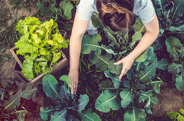 Journées de l'Agriculture 2023