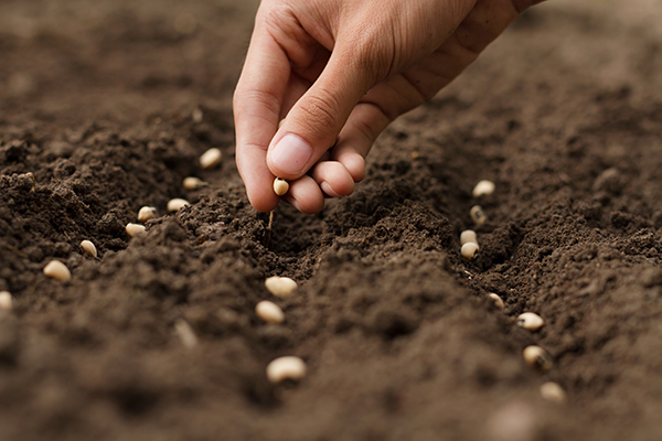 Le think-Tank Adebiotech organise un colloque sur les sols
