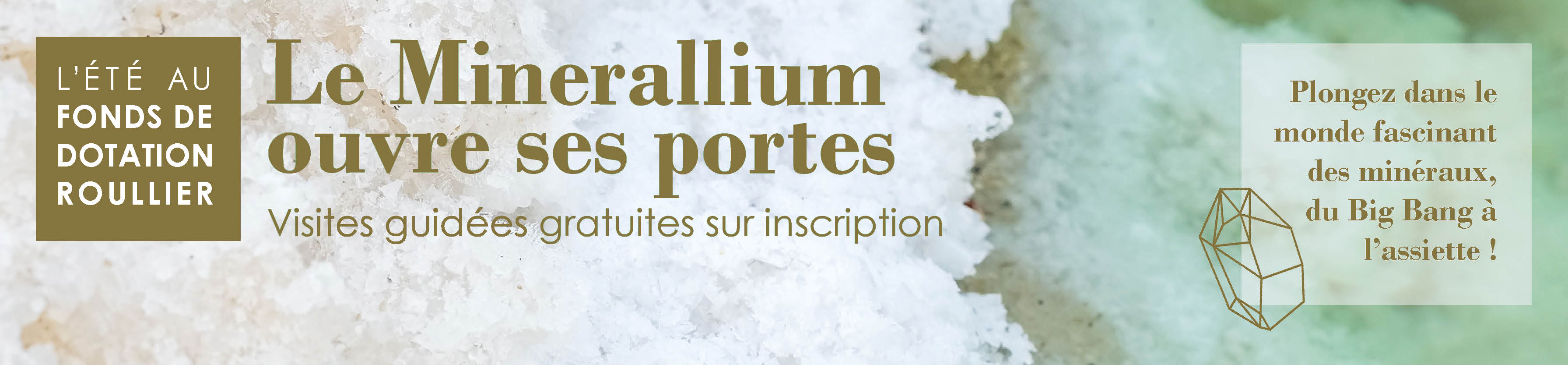 Bannière site Visite Minerallium été