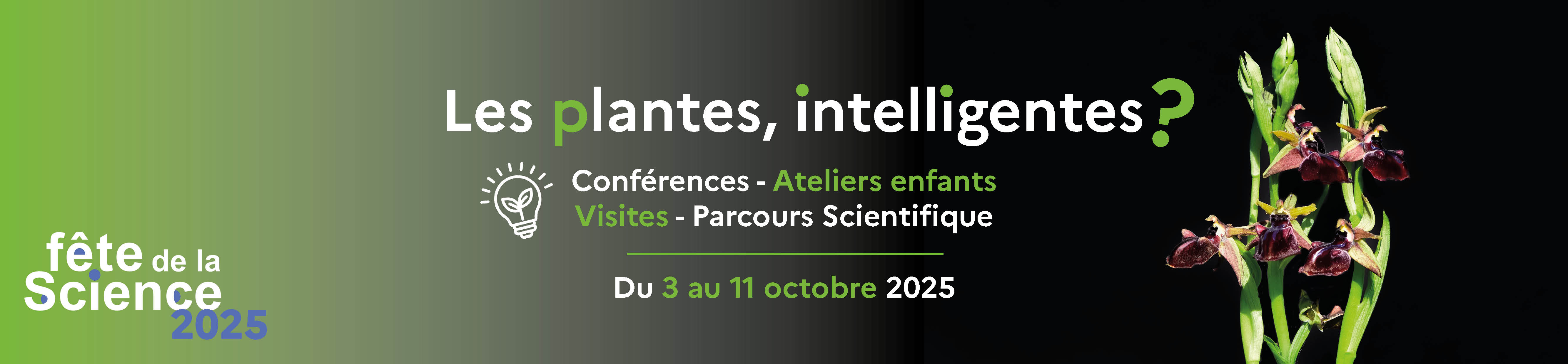 BannièreWebFeteScience