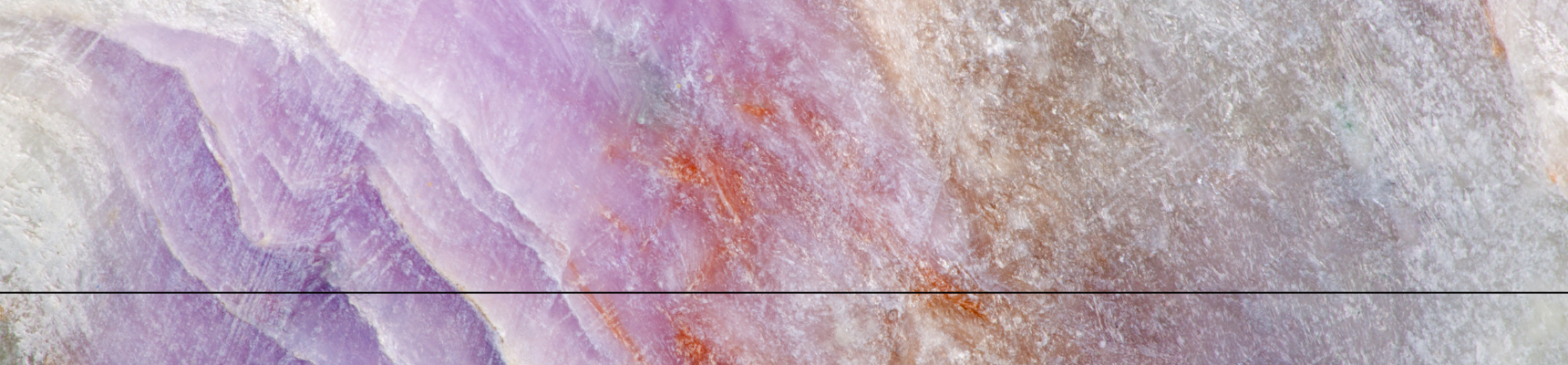 Visuel printemps MIN 1720-400 2026